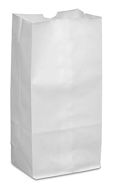 SACS BLANC 1LBS 9.5x7x3.5 500/CS