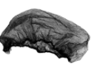 EM-1011B-21 FILETS À CHEVEUX 21'' MARRON VENDU 100/PAQUET